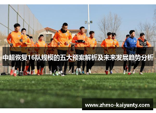 中超恢复16队规模的五大预案解析及未来发展趋势分析