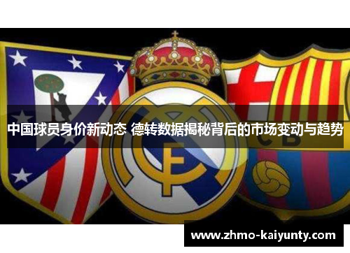中国球员身价新动态 德转数据揭秘背后的市场变动与趋势
