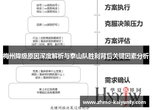 梅州降级原因深度解析与泰山队胜利背后关键因素分析
